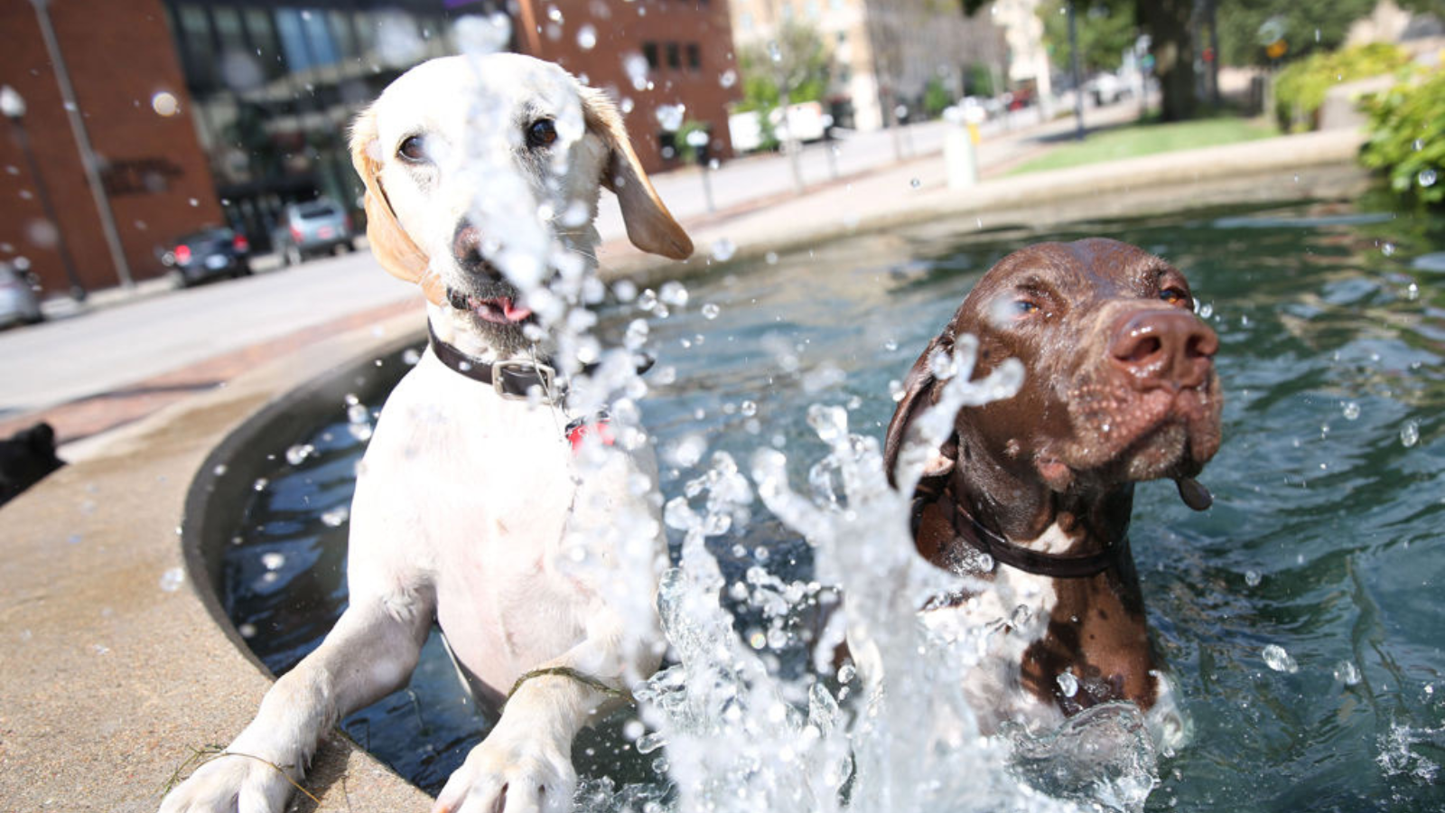 'It’s going to get toasty': Hot weather to return to the Omaha metro area this week
